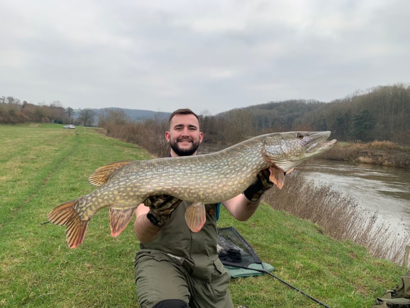 Middle Hill Court pike - IH from Bryncoch